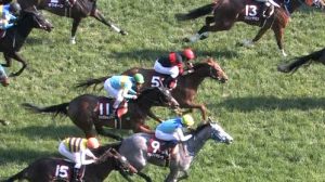 【競馬/フローラS】ホウオウパフューム強すぎワロタwwwwwwwwwwwwwwww 【競馬/フローラS】ホウオウパフューム強すぎワロタwwwwwwwwwwwwwwww