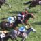 【競馬/フローラS】ホウオウパフューム強すぎワロタｗｗｗｗｗｗｗｗｗｗｗｗｗｗｗｗ