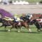 【競馬/安田記念】イスラボニータに複勝５万ってありかな？
