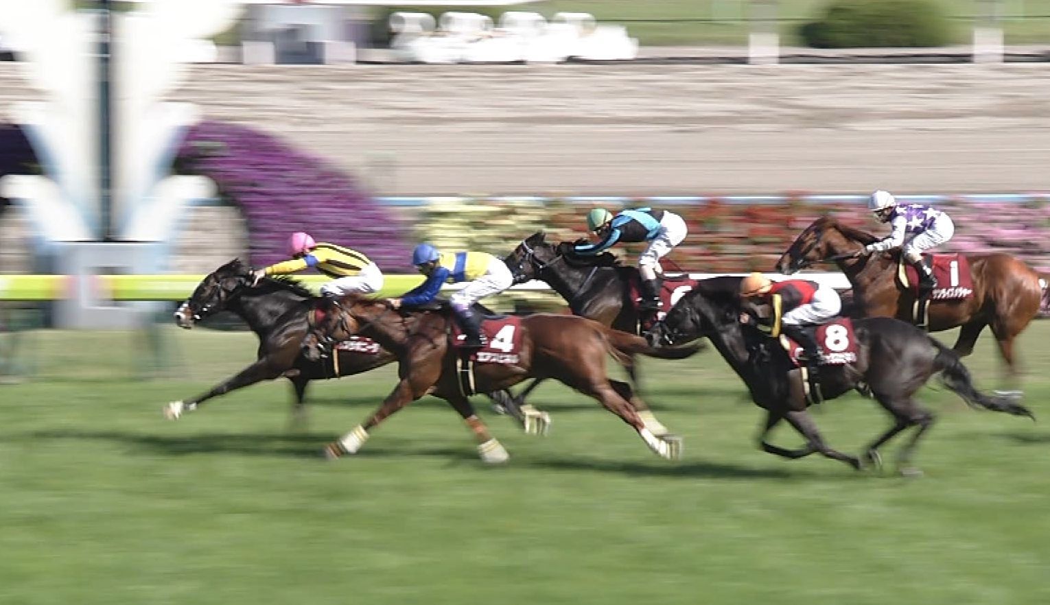 【競馬】武豊「エアスピネルは例年なら三冠馬」→マイル重賞で連敗 【競馬】武豊「エアスピネルは例年なら三冠馬」→マイル重賞で連敗