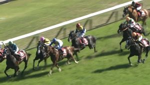 【競馬】フィエロが今検索してそうな言葉 【競馬】フィエロが今検索してそうな言葉