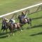【競馬】フィエロが今検索してそうな言葉
