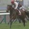 【競馬/エリ女】ミッキークイーン10番人気wwwwwww