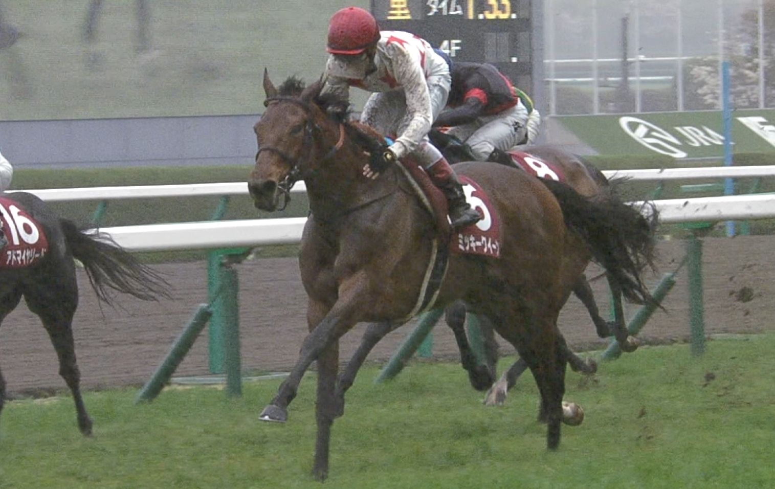 【競馬/ヴィクトリアM】ミッキークイーンに不安要素が皆無の件 【競馬/ヴィクトリアM】ミッキークイーンに不安要素が皆無の件
