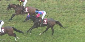 【競馬】メイショウマンボ無事にラストラン