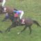 【競馬】メイショウマンボ無事にラストラン