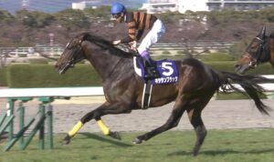 【競馬】キタサンブラックってどう見ても全盛期のグラスワンダーより強いよな? 【競馬】キタサンブラックってどう見ても全盛期のグラスワンダーより強いよな?