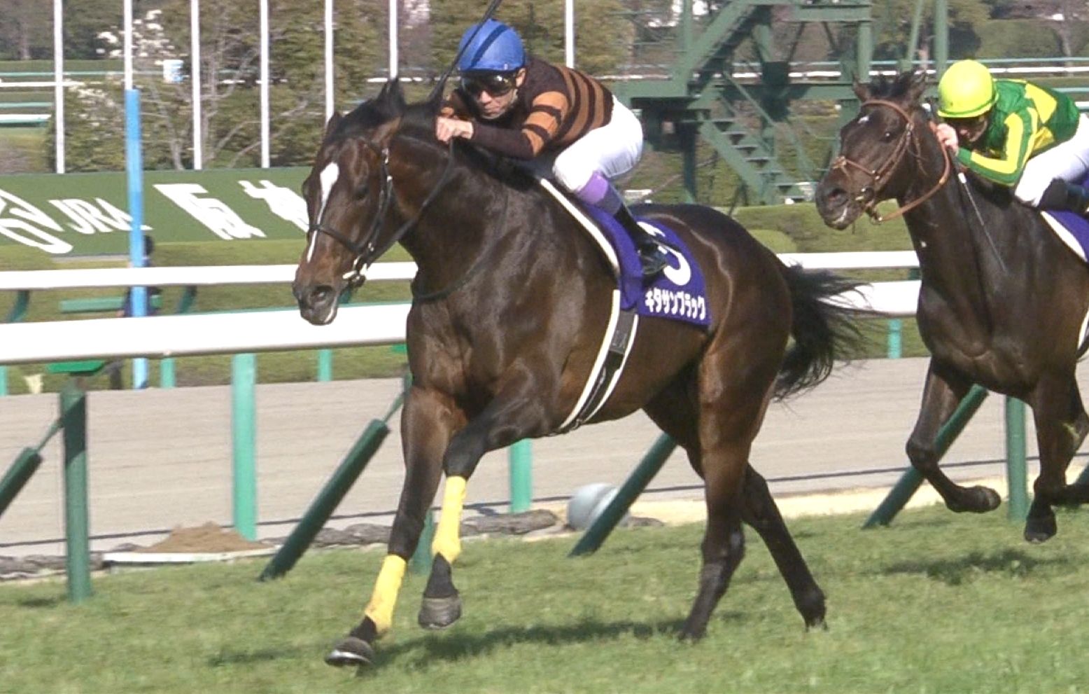【競馬】天皇賞・春 定期預金解約してサトノ・キタサンぶち込むつもりだけど不安要素ある? 【競馬】天皇賞・春 定期預金解約してサトノ・キタサンぶち込むつもりだけど不安要素ある?