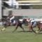 【競馬/大阪杯】キタサンブラック強すぎわろたｗｗｗｗｗｗｗ