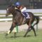 【競馬/天皇賞春】キタサンブラック2枠3番でキタ3黒←はいやらせ八百長操作