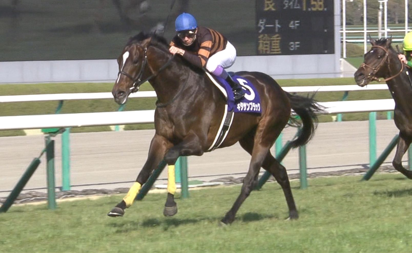 【競馬/天皇賞春】キタサンブラック2枠3番でキタ3黒←はいやらせ八百長操作