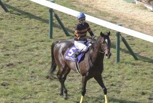 【競馬/大阪杯】キタサンブラックって武豊の歴代お手馬の中でも上位じゃね？