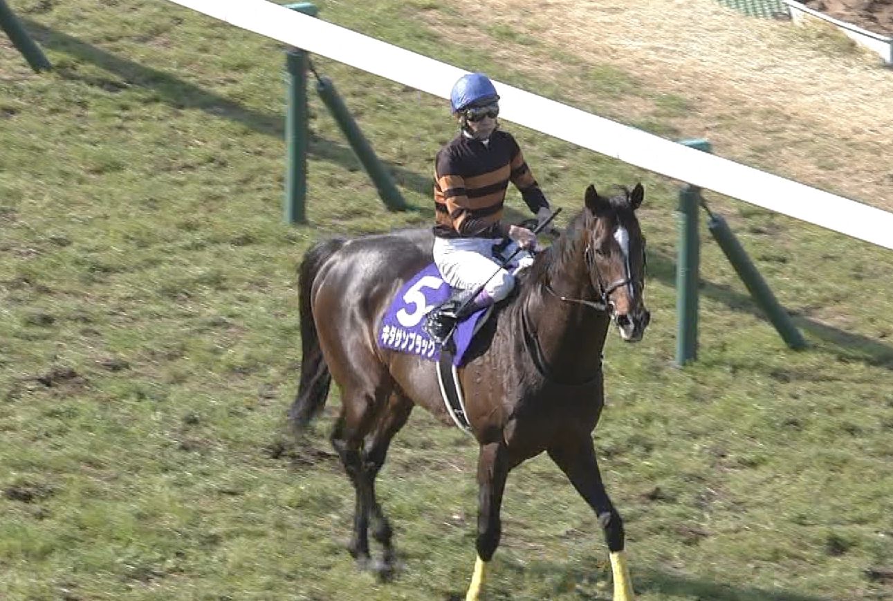【競馬/大阪杯】キタサンブラックって武豊の歴代お手馬の中でも上位じゃね? 【競馬/大阪杯】キタサンブラックって武豊の歴代お手馬の中でも上位じゃね?