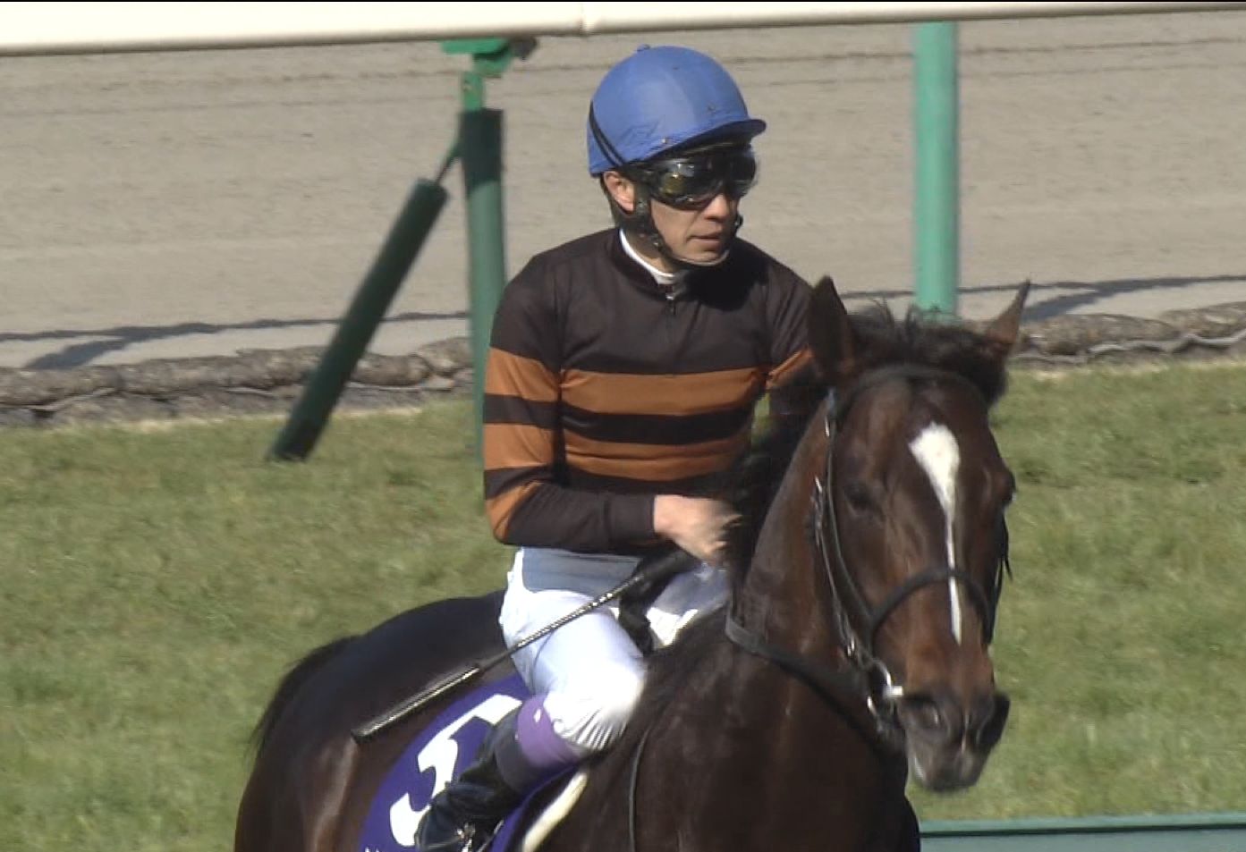 【競馬】キタサンブラックって武さんが鞍上じゃなかったらもっと勝ってるよな