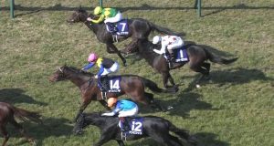 【競馬/大阪杯】マカヒキ弱すぎワロタｗｗｗｗｗｗｗｗｗｗ