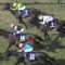 【競馬/大阪杯】マカヒキ弱すぎワロタｗｗｗｗｗｗｗｗｗｗ