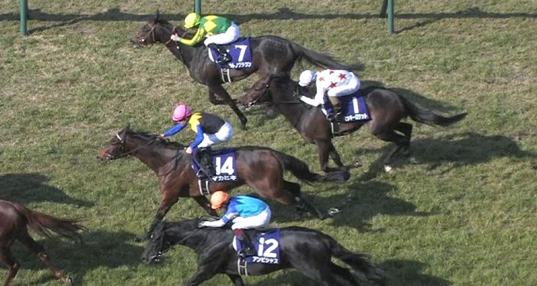 【競馬/大阪杯】マカヒキ弱すぎワロタwwwwwwwwww 【競馬/大阪杯】マカヒキ弱すぎワロタwwwwwwwwww