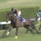 【競馬/天皇賞春】キタサンブラックの戦い方ってずるくない？