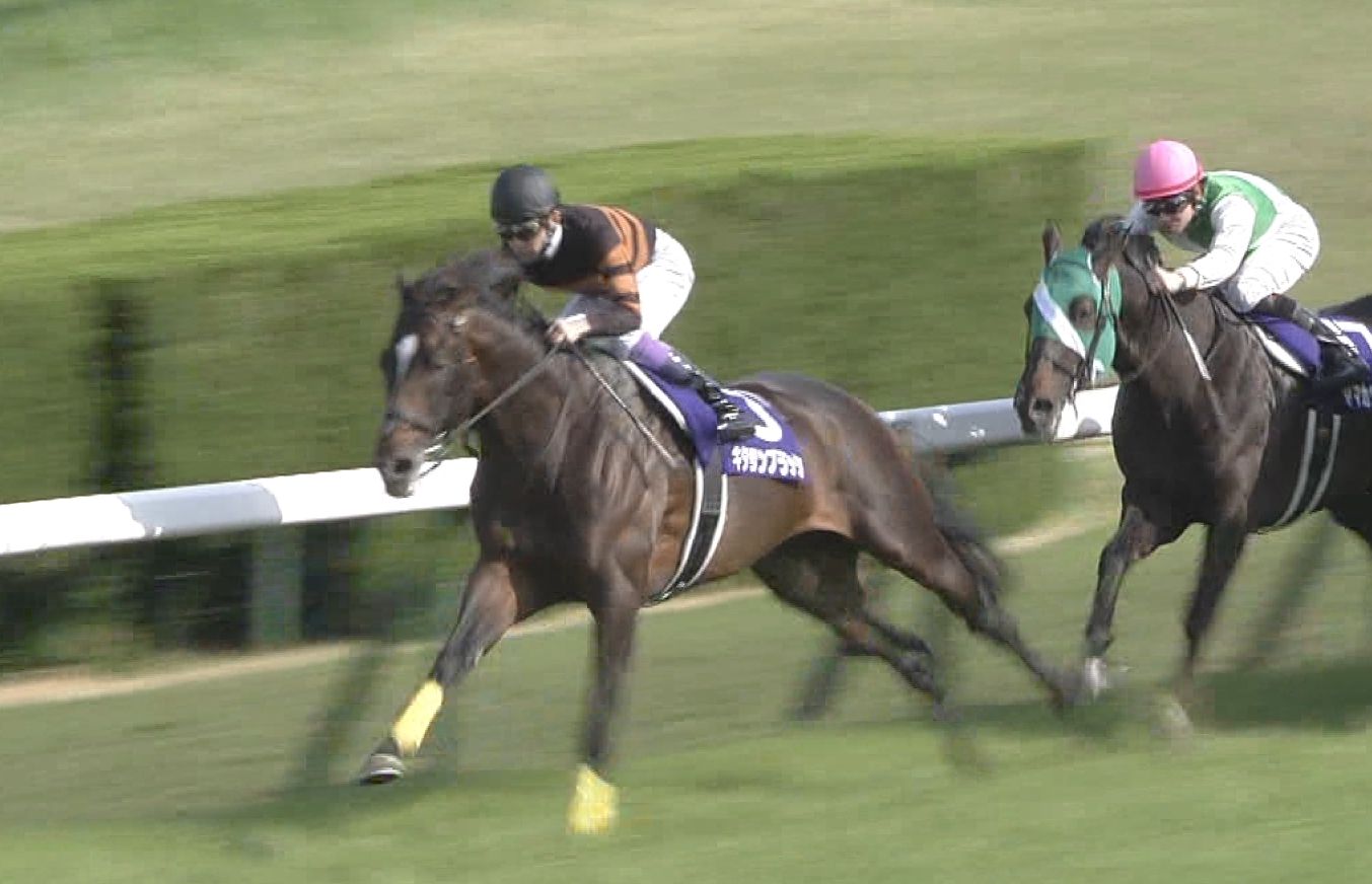 【競馬/天皇賞春】キタサンブラックの戦い方ってずるくない? 【競馬/天皇賞春】キタサンブラックの戦い方ってずるくない?