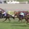 【競馬/天皇賞春】キタサンブラック歴史的名馬すぎワロタｗｗｗｗｗｗｗｗ