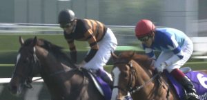 【競馬/JC】シュヴァルグランの鞍上が未定!?【大魔神衝撃】 【競馬/JC】シュヴァルグランの鞍上が未定!?【大魔神衝撃】