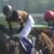 【競馬/ジャパンC】佐々木主浩さん、有力騎手と絶縁しまくった結果シュヴァルグランの鞍上がボウマンに決まる