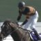 【競馬/天皇賞春】3000メートル通過タイム3.00.3ｗｗｗｗｗｗ