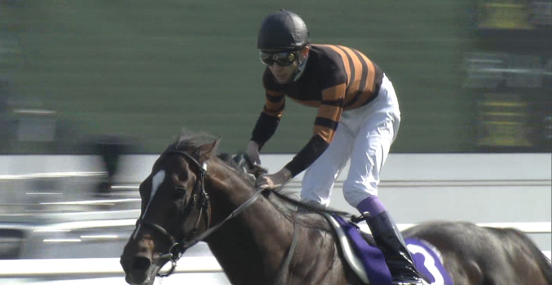 【競馬】キタサンブラック「凱旋門行くと決まったわけではないけど、きょう登録します」 【競馬】キタサンブラック「凱旋門行くと決まったわけではないけど、きょう登録します」