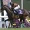 【競馬】宝塚記念のメンツが恐ろしく酷い件