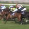 【競馬/宝塚記念】競馬実況小林アナ「サトノダイヤモンドォ！サートノダイヤモンドだぁゴーオオオルイン！！」