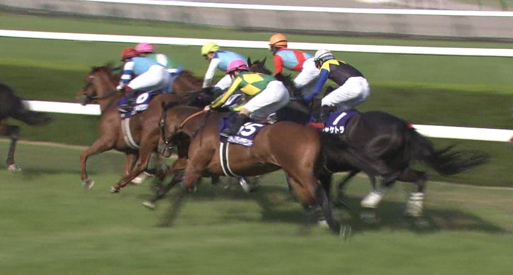 【競馬/天皇賞春】サトノダイヤモンド弱すぎワロタwwwwwwww 【競馬/天皇賞春】サトノダイヤモンド弱すぎワロタwwwwwwww
