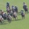 【競馬/天皇賞春】６着ディーマジェスティ蛯名「突っ張るように走る。行きっぷりが悪い。フォームも悪い。手応えも悪い」