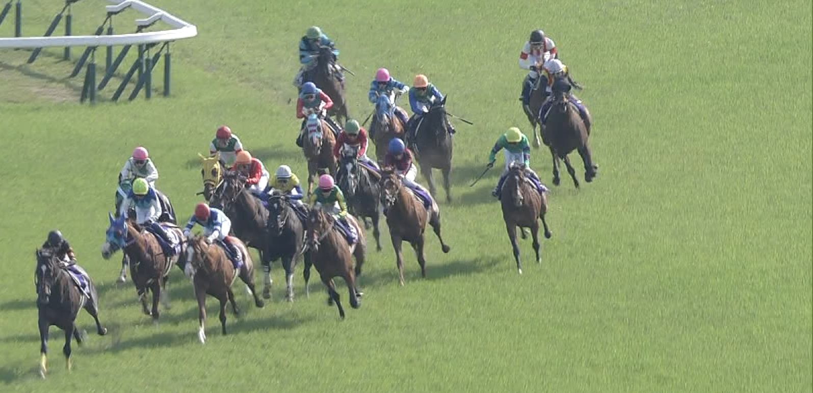 【競馬/天皇賞春】6着ディーマジェスティ蛯名「突っ張るように走る。行きっぷりが悪い。フォームも悪い。手応えも悪い」 【競馬/天皇賞春】6着ディーマジェスティ蛯名「突っ張るように走る。行きっぷりが悪い。フォームも悪い。手応えも悪い」
