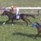 【競馬/天皇賞春】11着ワンアンドオンリー和田「手応えがずっとありません。覇気を出してくれません」
