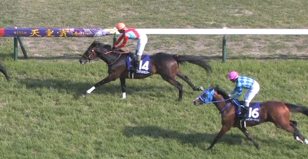 【競馬/天皇賞春】11着ワンアンドオンリー和田「手応えがずっとありません。覇気を出してくれません」 【競馬/天皇賞春】11着ワンアンドオンリー和田「手応えがずっとありません。覇気を出してくれません」