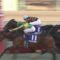 【競馬/有馬記念】サトノダイヤモンド 有馬で涙の復活劇