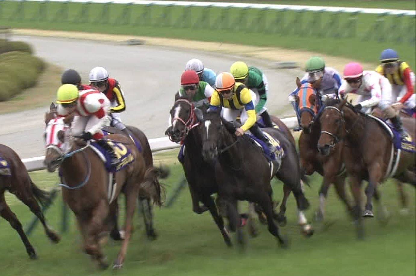 【競馬】ソウルスターリングのせいで人生終了した奴集合wwwww 【競馬】ソウルスターリングのせいで人生終了した奴集合wwwww
