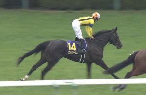【競馬】ソウルスターリング、オークスで雪辱へ 【競馬】ソウルスターリング、オークスで雪辱へ