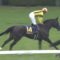 【競馬】ソウルスターリング、オークスで雪辱へ