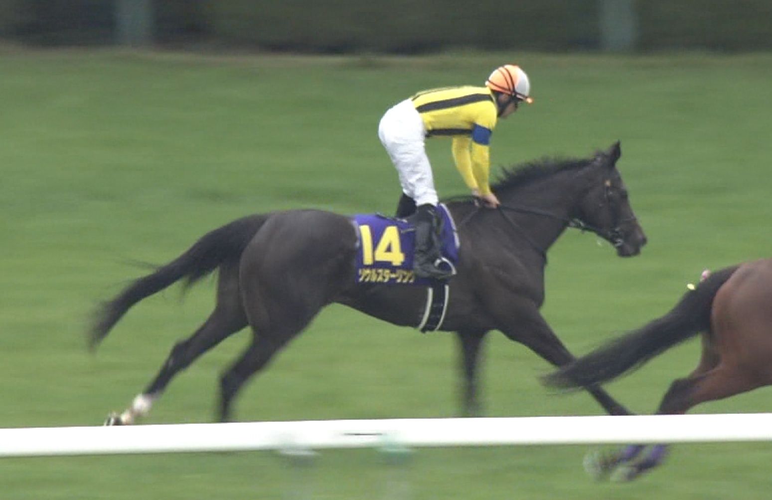 【競馬】ソウルスターリング、オークスで雪辱へ 【競馬】ソウルスターリング、オークスで雪辱へ