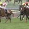 【競馬】ダイワメジャーという1600m以下なら無双する種牡馬