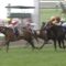 【競馬/オークス】なんでそんなに自信満々にレーヌミノルを切れたの？
