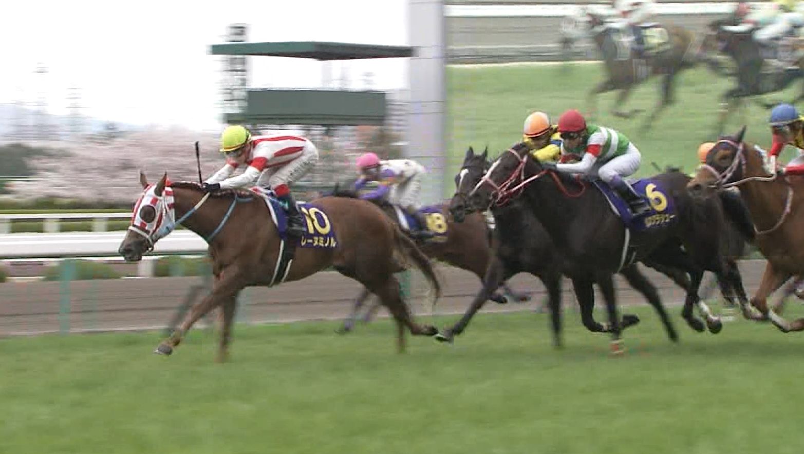 【競馬】オークス(5/21･東京･芝･2400m･G1)枠順確定 桜花賞馬レーヌミノルは7枠13番、2歳女王ソウルスターリングは1枠2番