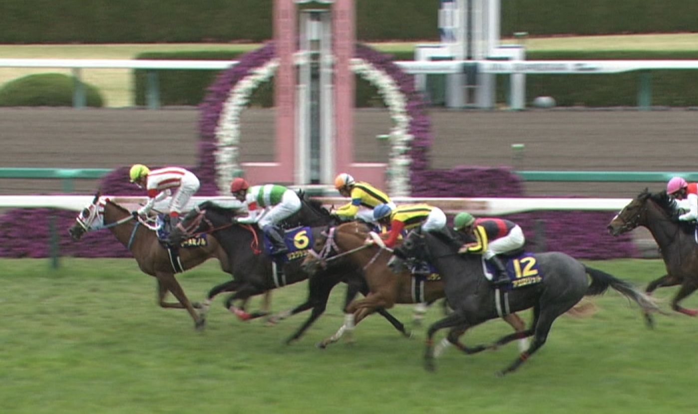 【競馬/オークス】リスグラシュー矢作「桜花賞は勝つと思っていた。振り返りたくない」