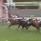 【競馬】オークスでリスグラシューの対抗馬がいない件
