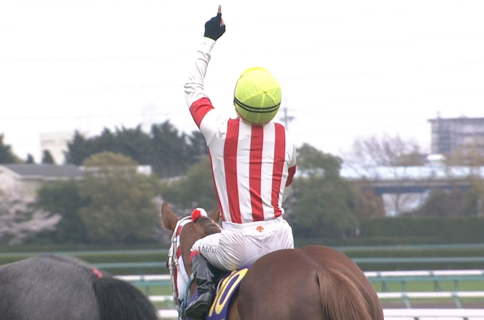 【競馬】桜花賞の勝ち馬忘れた奴wwwwww 【競馬】桜花賞の勝ち馬忘れた奴wwwwww