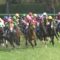 【競馬】中山牝馬ステークス 危険な人気馬教えます！