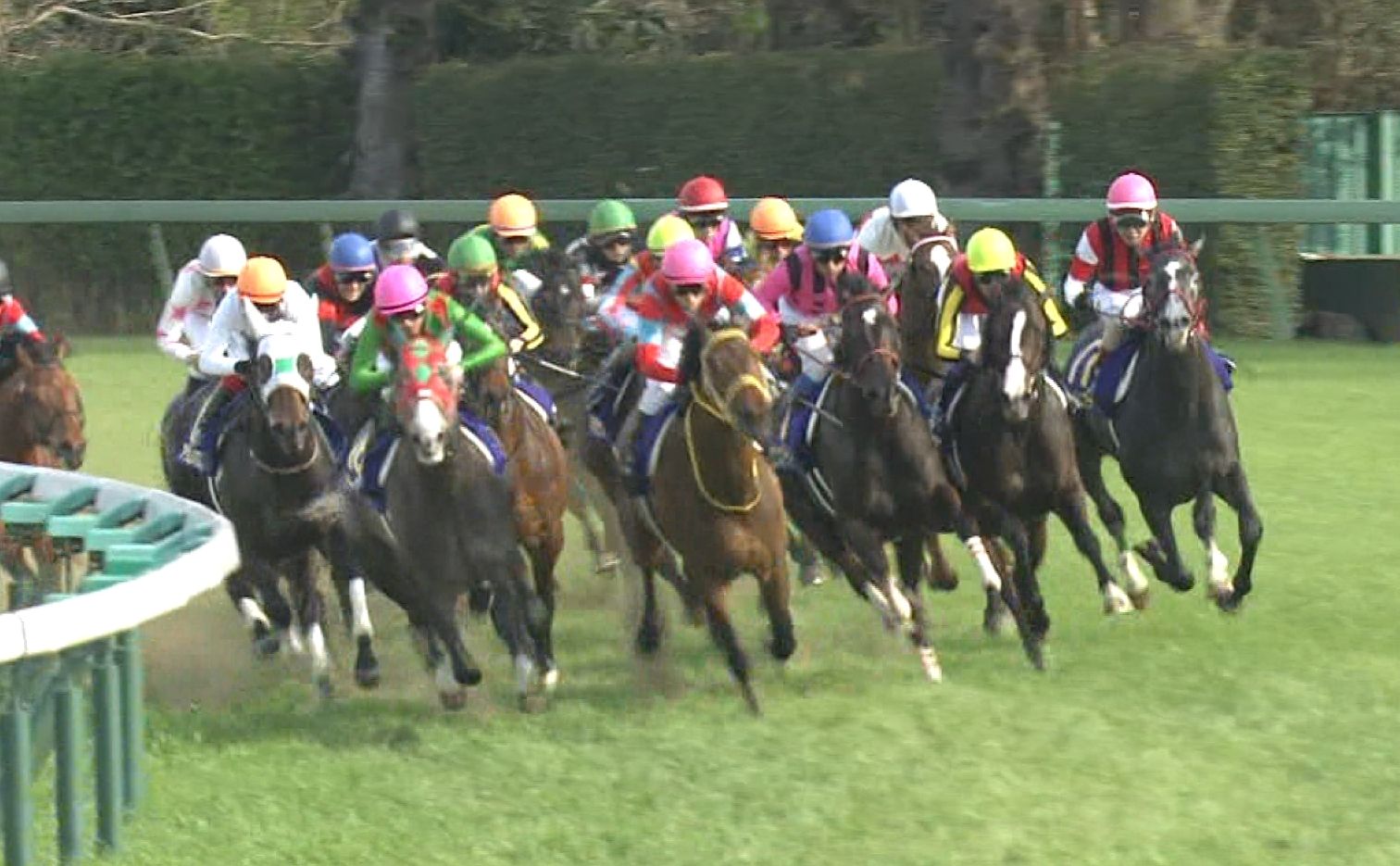 【競馬/皐月賞】冷静に見返してファンディーナの止まり方は異常だろ 【競馬/皐月賞】冷静に見返してファンディーナの止まり方は異常だろ