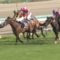 【競馬】アルアインが東京優駿を勝てば三冠に王手という事実