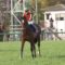 【競馬/ダービー】アルアイン松山「正直言って、皐月賞は２着でも、ダービーは乗れないと思っていました」